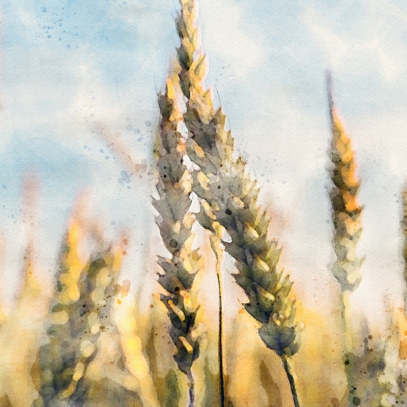 Artwork for 9 - Lessons from Jacob’s Blessings