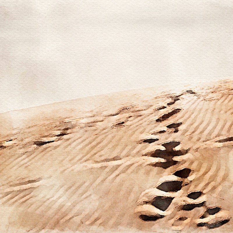 Artwork for 4 - War and the Damage of Settling-down Prematurely