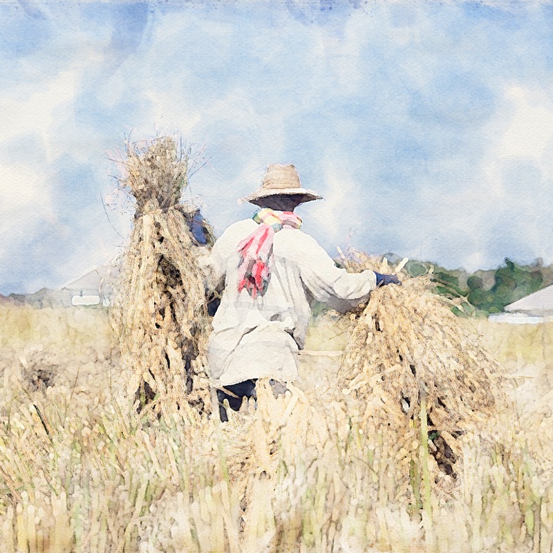 Artwork for 1 - Understanding the Book of Ruth