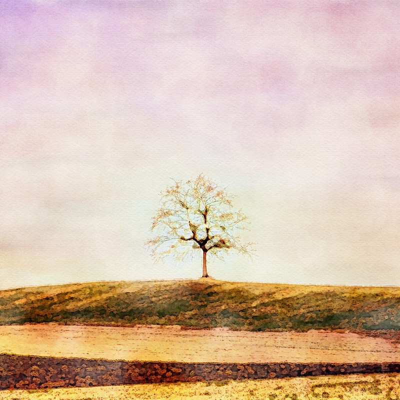 Artwork for 2 - A Believer’s Pilgrimage